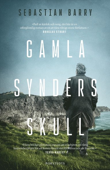 Sebastian Barry. Gamla synders skull